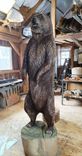 ** Example Piece ** Six Foot Tall Grizzly Bear Chainsaw Carving 2 small
