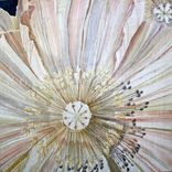 Poppy & Peony Botanicals, Wall Art, Floral Paintings 2 small
