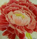 Poppy & Peony Botanicals, Wall Art, Floral Paintings 4 small