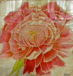 Poppy & Peony Botanicals, Wall Art, Floral Paintings 6 small