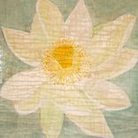 Lotus Paintings 40 1 small