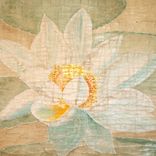 Lotus Paintings 40 2 small