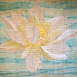 Lotus Paintings 40 3 small