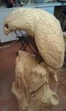 Eagle In Progress 4 small