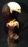 Eagle In Progress 1 small