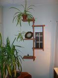 3 Tier Cherry Shelf Cabinet 4 small