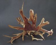 Turning Roots (Sculp/Turns) 1 small