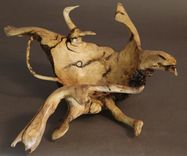 Turning Roots (Sculp/Turns) 6 small