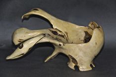 Turning Roots (Sculp/Turns) 7 small