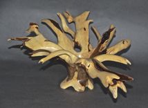 Turning Roots (Sculp/Turns) 4 small