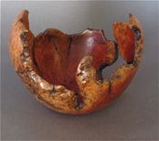 Open Forms 3 small