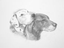 Dog Portraits 5 small