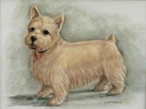 Dog Portraits 9 small