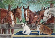 Horse Portraits 1 small
