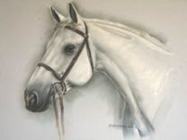 Horse Portraits 13 small