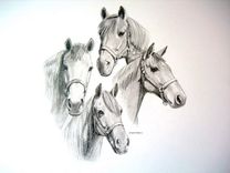Horse Portraits 18 small