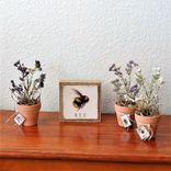 Hone Bee Gift Decor Bundle Set Of 4 4 small