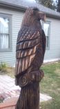 Black Walnut Perched Eagle Chainsaw Carving 2 small