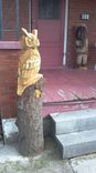 Chainsaw Carved Owl 1 small