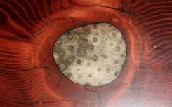 Old-Growth Redwood Coffee Table 6 small