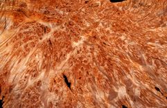 Hall/Foyer Table 2 small