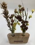 Propagation Stations 4 small