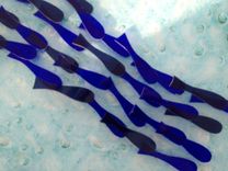 Wall Decor Fused Glass Fish In The Sea (3 Tiles) 2 small