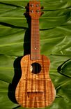 Koa Soprano Ukulele 1 small