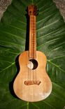 Koa Tenor Ukulele 1 small