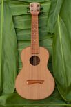Koa Concert Ukulele 1 small