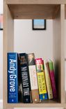 Lexington Room Divider / Bookshelf / Tv Stand 6 small
