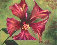 Purple Bearded Iris 4 small