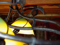 Hand-Blown Glass And Iron Chandelier 1 small
