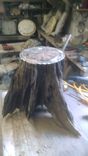 Tree Trunk Cake Stand 1 small