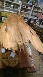 Louisiana Sinker Cypress, Live Edges, Pecky Industrial, Repurposed 4 small