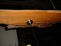 Louisiana Sinker Cypress Specimen Slab 3 Drop Light Fixture 7 Foot Long 3 small