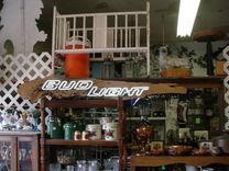 Sold Neon Swamp Art On Cypress Pecky Drift Wood 1 small