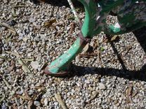 Sold 5' Victorian Garden Bench Heavy And Very Old! 4 small