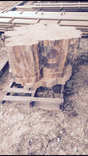 Cypress Slabs, Oak Slabs Natural Tree Trunk Shapes 1 small