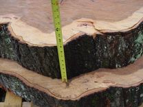 Cypress Slabs, Oak Slabs Natural Tree Trunk Shapes 5 small