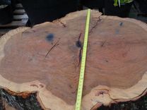 Cypress Slabs, Oak Slabs Natural Tree Trunk Shapes 3 small