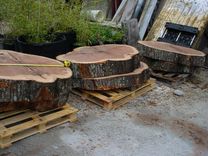 Cypress Slabs, Oak Slabs Natural Tree Trunk Shapes 4 small