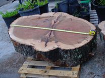 Cypress Slabs, Oak Slabs Natural Tree Trunk Shapes 2 small