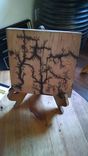 Fire On The Water Swamp Art Lighting Strikes Captured On Wood! 2 small