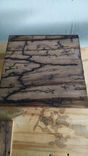 Fire On The Water Swamp Art Lighting Strikes Captured On Wood! 3 small