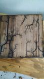 Fire On The Water Swamp Art Lighting Strikes Captured On Wood! 5 small