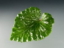 Lead Crystal Rhubarb Leaf, Pate de Verre, With Hand Blown Glass Berrry Sculptures 6 small