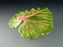 Lead Crystal Rhubarb Leaf, Pate de Verre, With Hand Blown Glass Berrry Sculptures 5 small