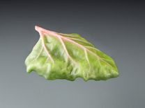 Palm-Sized Lead Crystal Rhubarb Leaf, Pate de Verre,  With Realistic Hand Blown Glass Berries 3 small