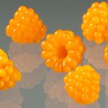 One Realistic Glass Salmonberry Sculpture, Hand Blown and Life-Sized 1 small